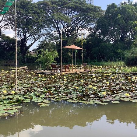 Saikaew Resort Chiang Rai Esterno foto
